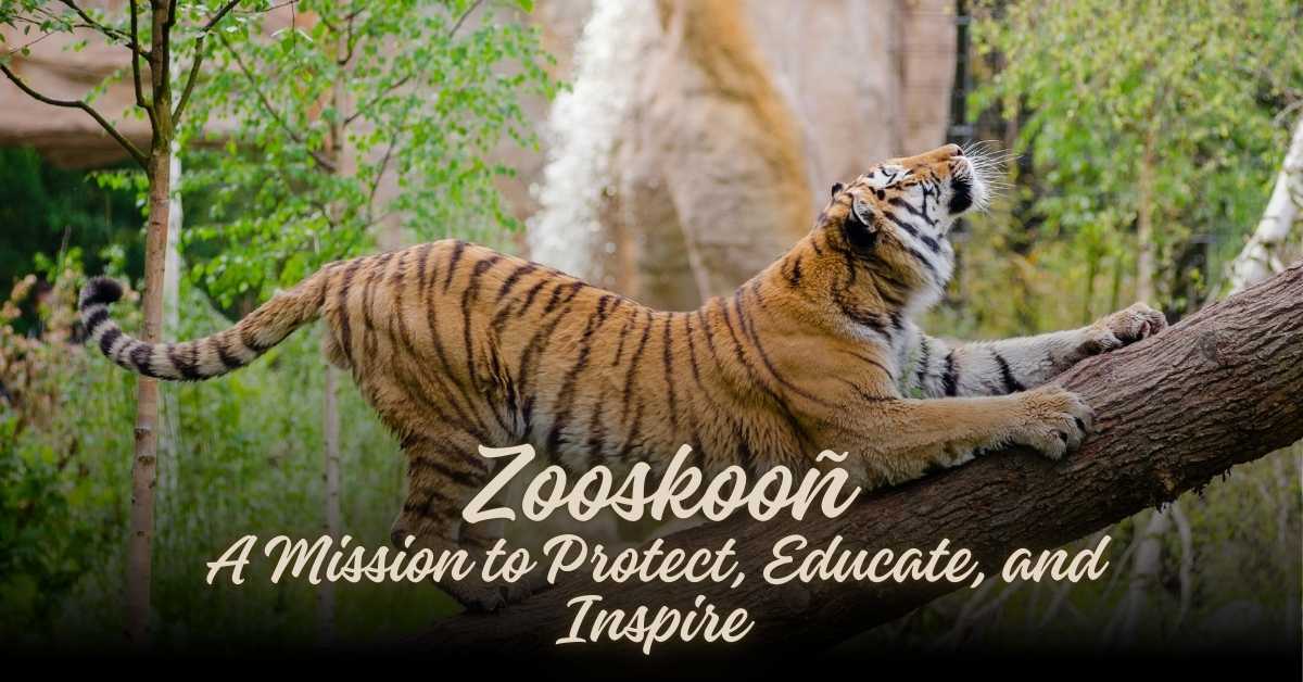 Zooskooñ
